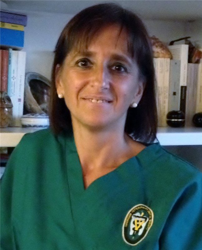 Scivac Rimini