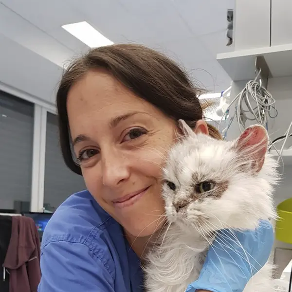 Dynamic Content Image