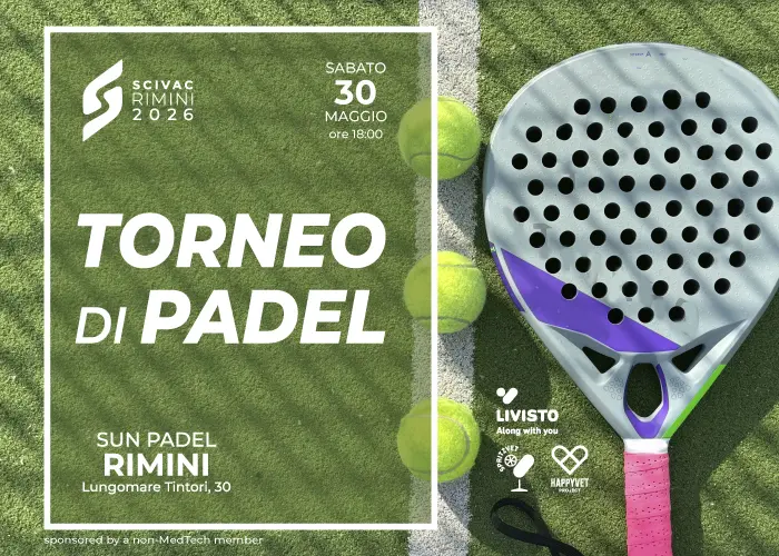 padel-web.webp