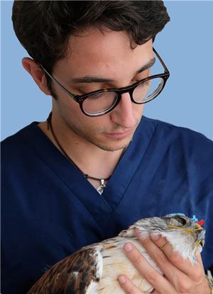 COCOCCETTA CIRO