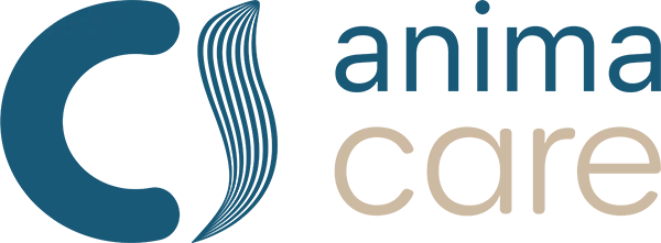 Dynamic Content Image