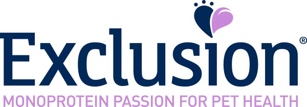 Dynamic Content Image