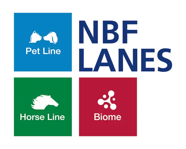 Dynamic Content Image