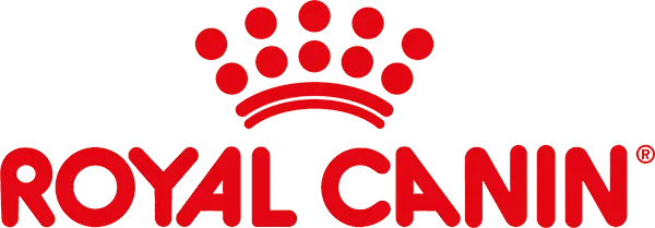 Dynamic Content Image