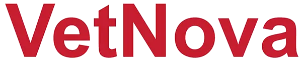 Dynamic Content Image